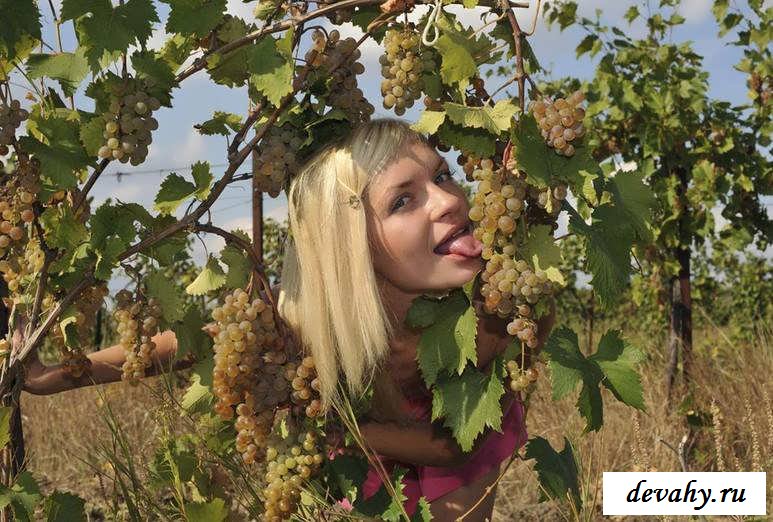 Побритая киска голой блондинки на винограднике  (15 фото эротики)